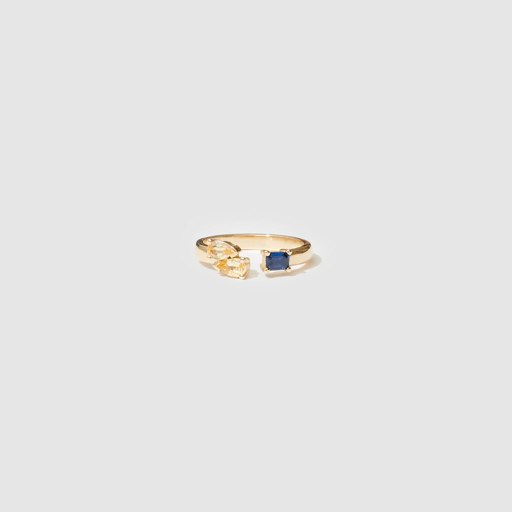 Ceremony Ring ~ Sapphires