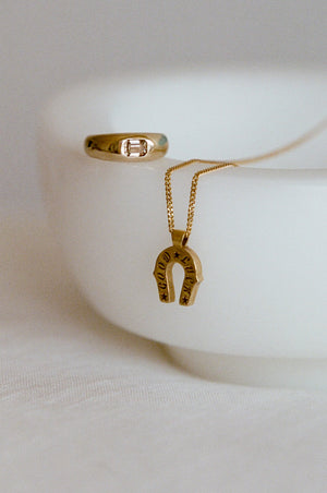 Lucky Charm Necklace ~ 9ct Yellow Gold